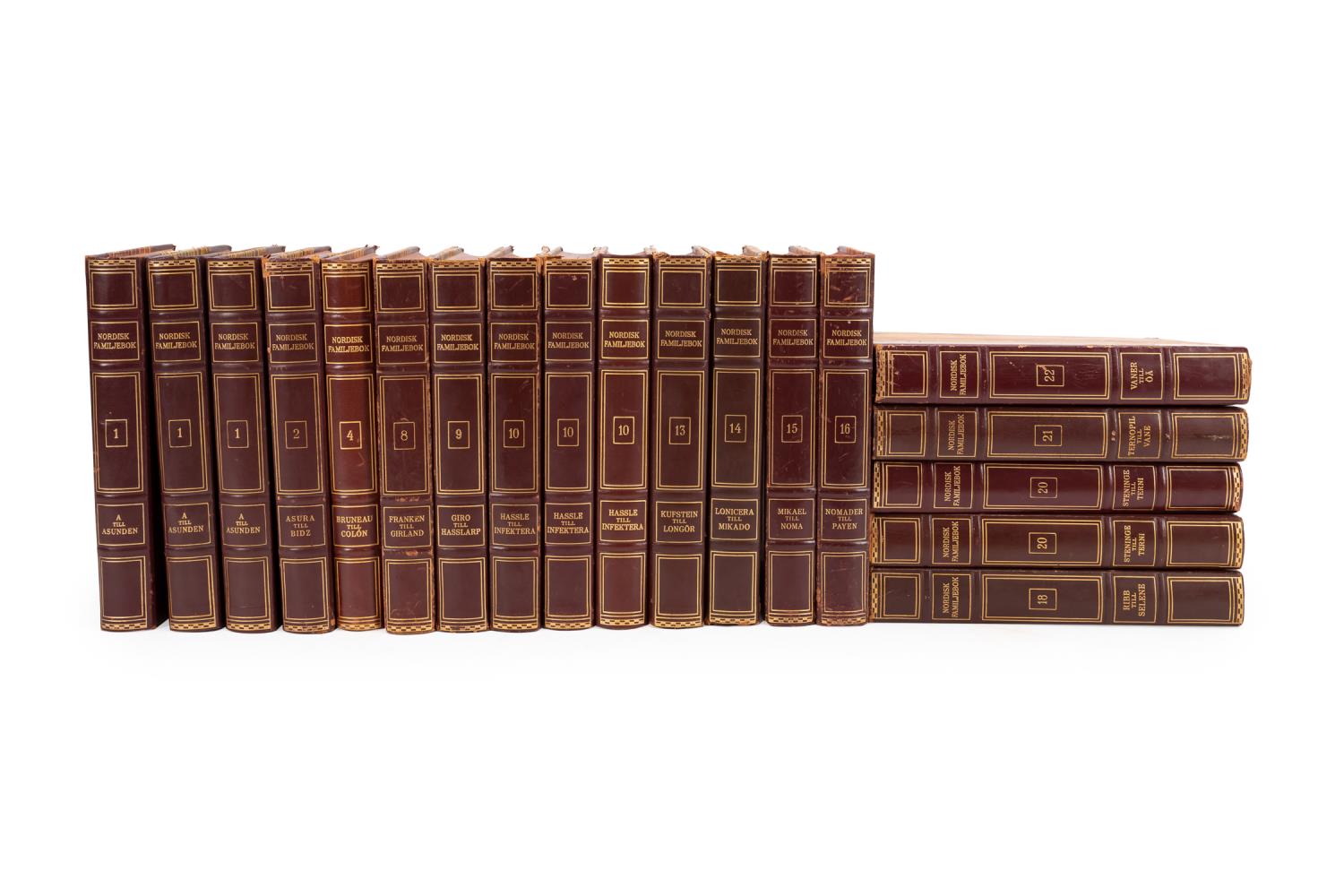19 SWEDISH LEATHER BOUND DECORATIVE
