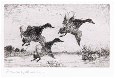 1935 Benson Federal duck stamp
