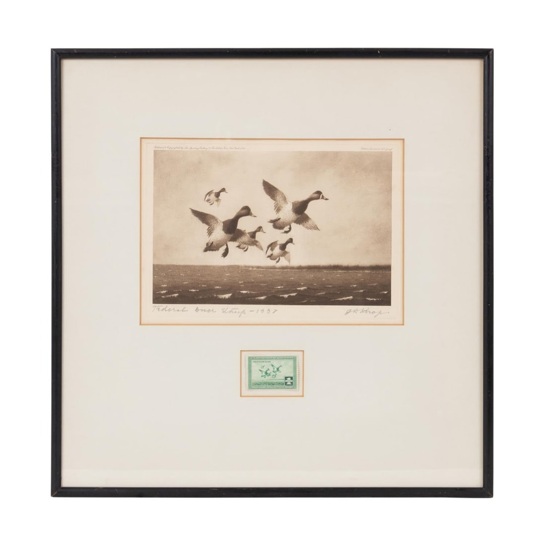 1937 FEDERAL DUCK STAMP PRINT AND