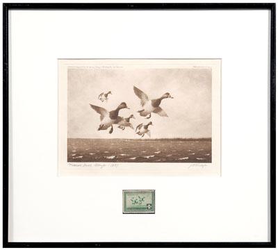 1937 Knap Federal duck stamp print,