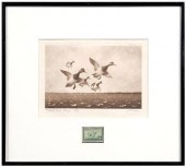 1937 Knap Federal duck stamp p