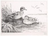 1939 Hunt Federal duck stamp p