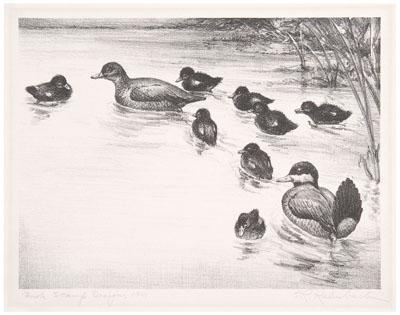 1941 Kalmbach duck stamp print,