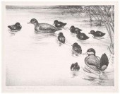 1941 Kalmbach duck stamp print