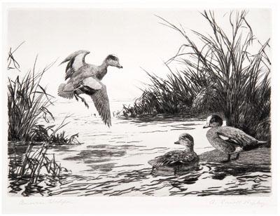 1942 Ripley Federal duck stamp