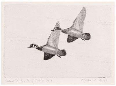 1943 Bohl Federal duck stamp print,