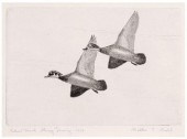 1943 Bohl Federal duck stamp p