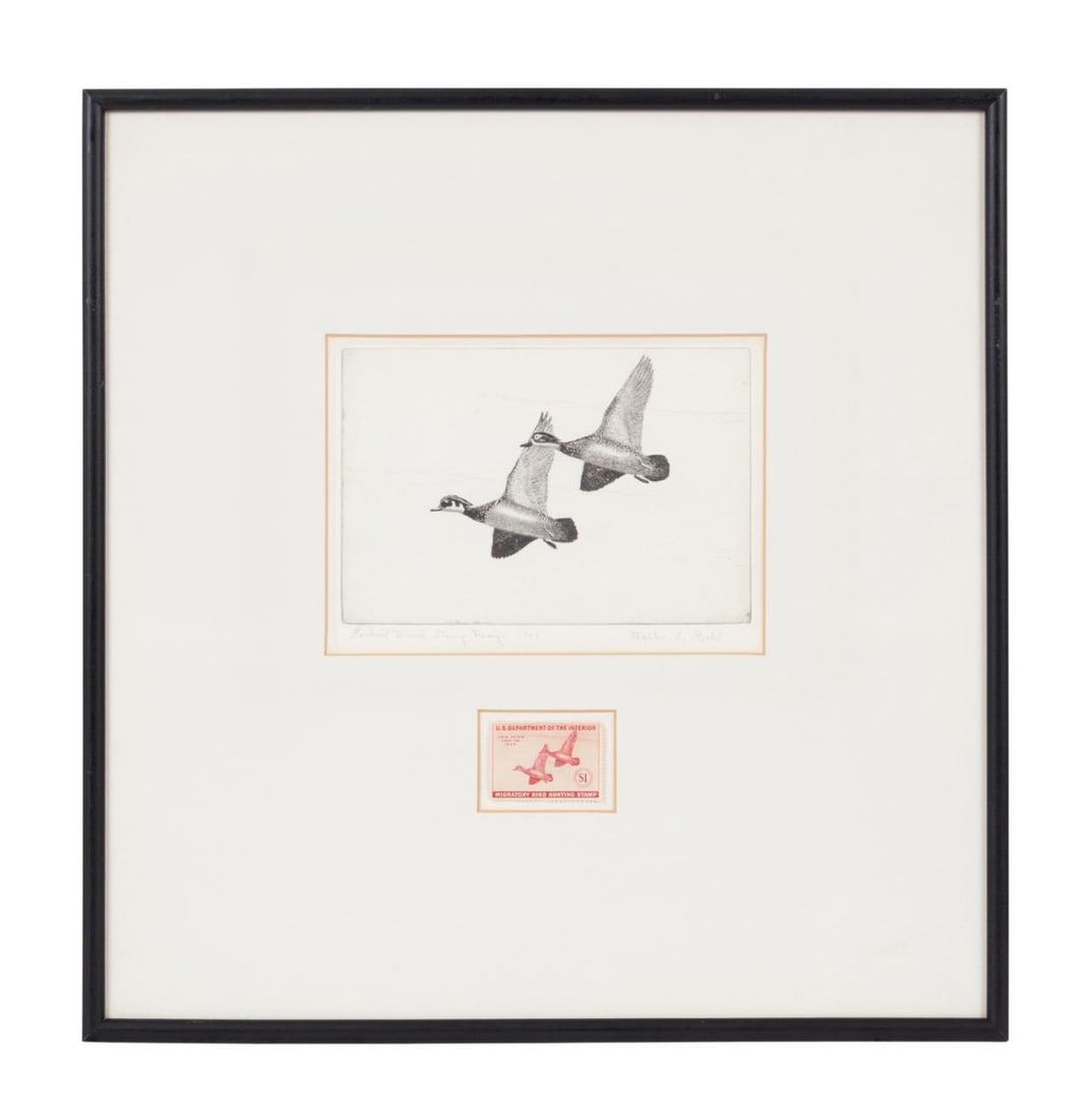 1943 FEDERAL DUCK STAMP PRINT AND