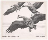 1944 Weber Federal duck stamp