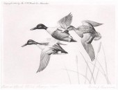 1945 Gromme Federal duck stamp