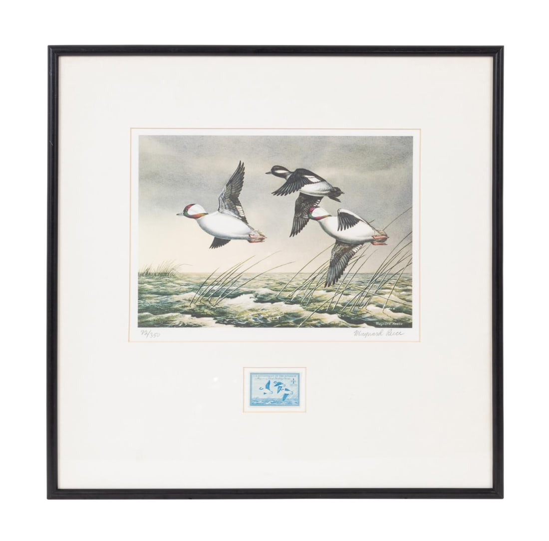1948 FEDERAL DUCK STAMP PRINT AND