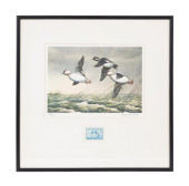 1948 FEDERAL DUCK STAMP PRINT