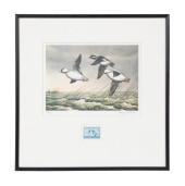 1948 FEDERAL DUCK STAMP PRINT