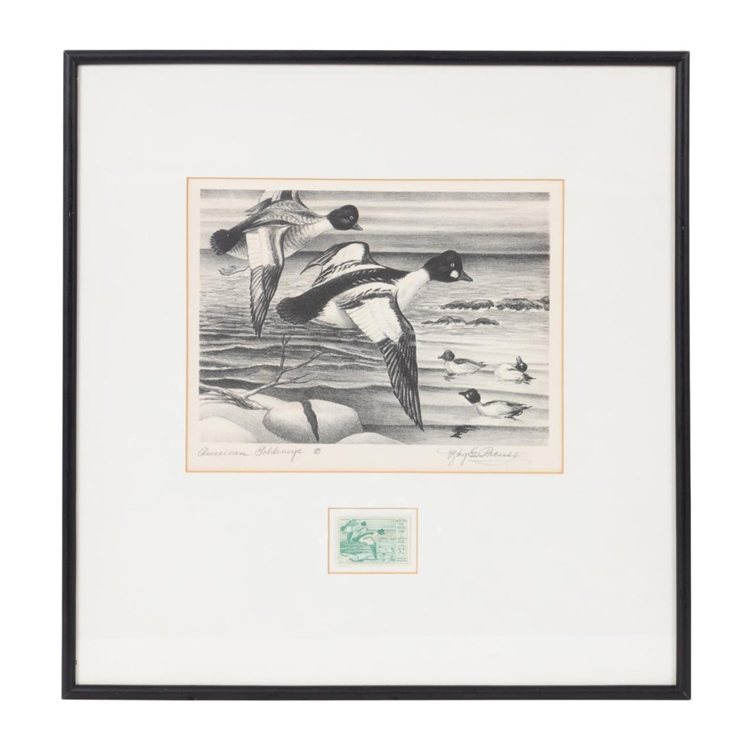 1949 FEDERAL DUCK STAMP PRINT AND