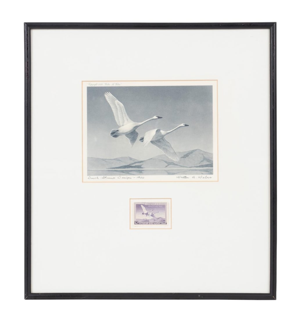 1950 FEDERAL DUCK STAMP PRINT AND
