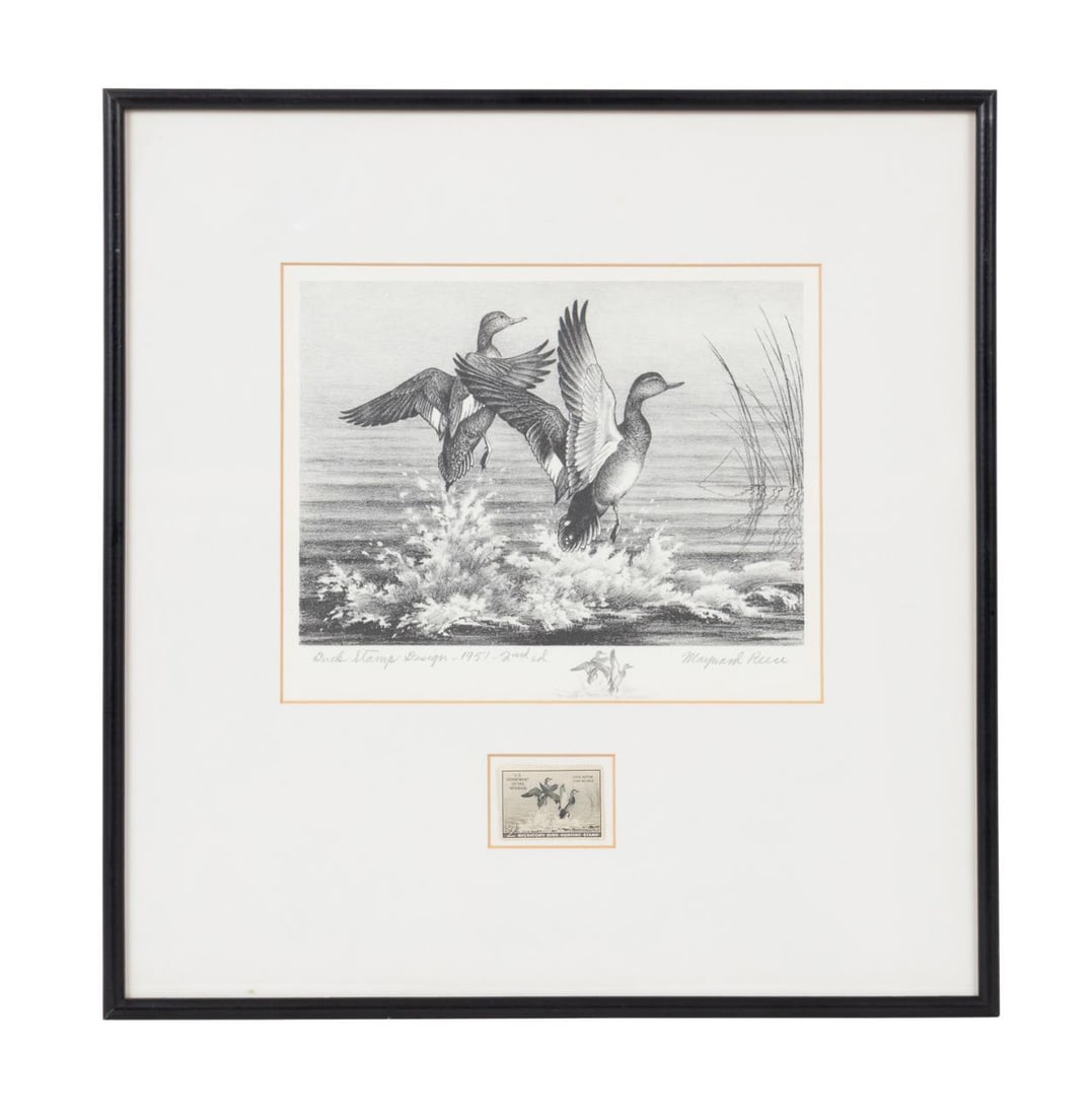 1951 FEDERAL DUCK STAMP PRINT AND