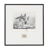 1951 FEDERAL DUCK STAMP PRINT