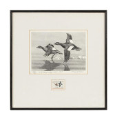 1969 FEDERAL DUCK STAMP PRINT