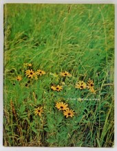 1969 WOODSTOCK FESTIVAL PROGRA