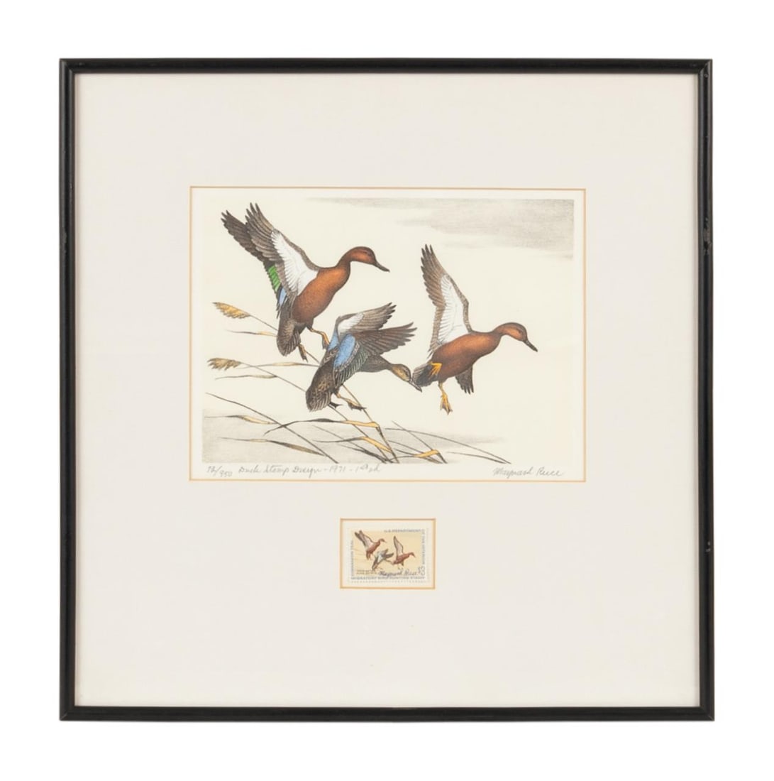 1971 FEDERAL DUCK STAMP PRINT,