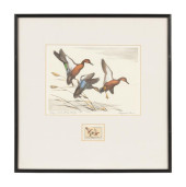 1971 FEDERAL DUCK STAMP PRINT,
