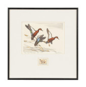 1971 FEDERAL DUCK STAMP PRINT,