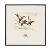 1971 FEDERAL DUCK STAMP PRINT,
