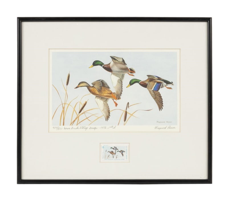 1972 IOWA STATE DUCK STAMP PRINT