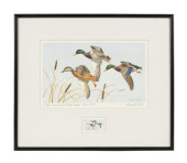 1972 IOWA STATE DUCK STAMP PRI