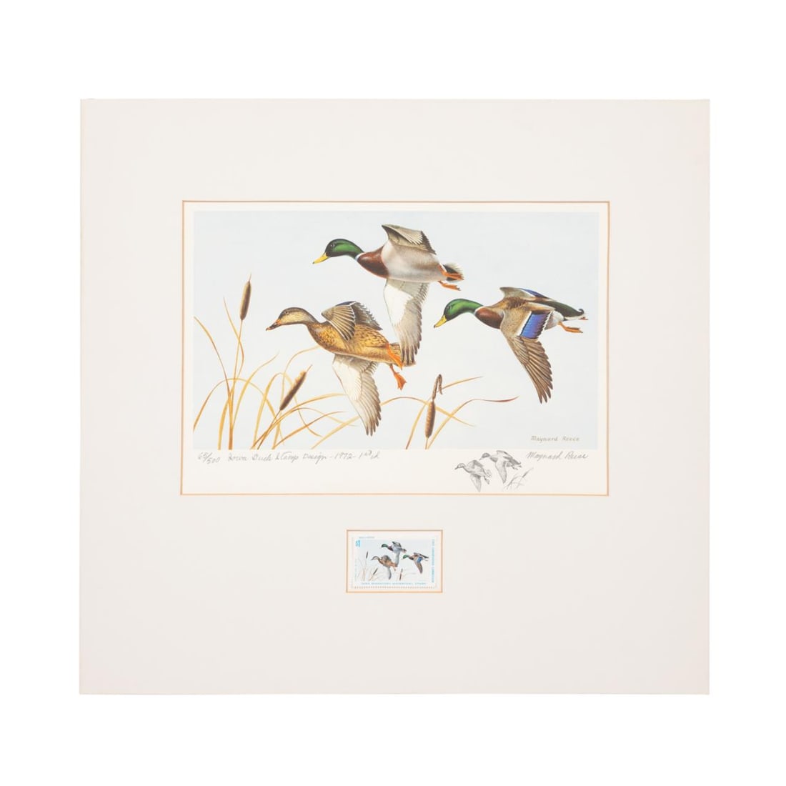 1972 IOWA STATE DUCK STAMP PRINT