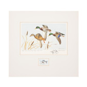 1972 IOWA STATE DUCK STAMP PRI