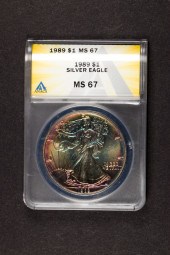 1989 SILVER EAGLE ANACS MS67 W