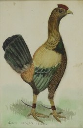 19C AMERICAN PRIMITIVE FOLK FI