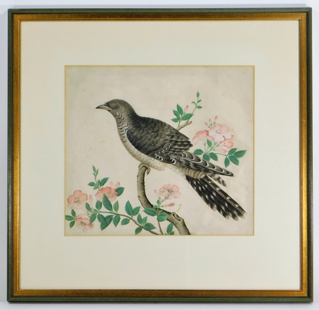 19C ENGLISH NATURALIST WATERCOLOR