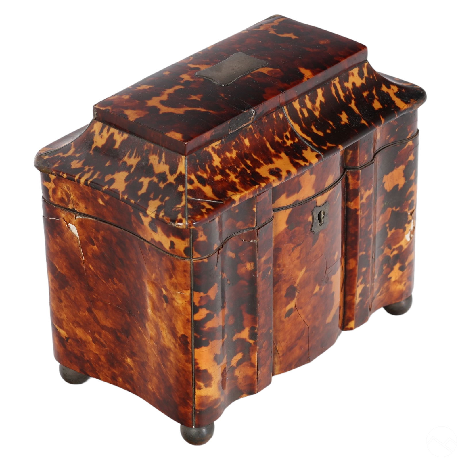 19C ENGLISH VICTORIAN TORTOISESHELL