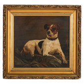 19C JACK RUSSELL TERRIER DOG P