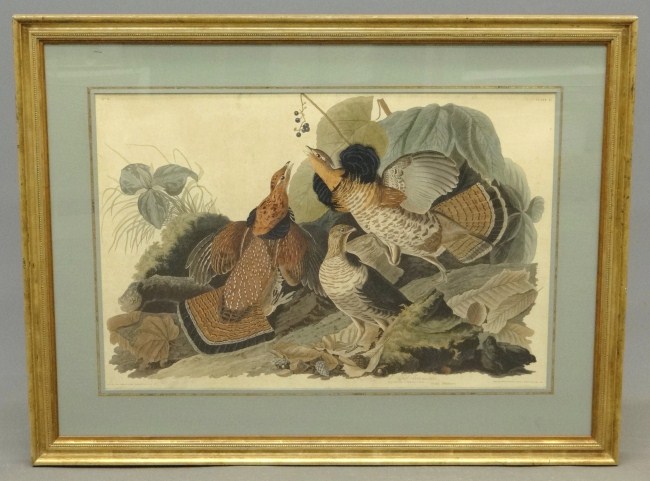19th c. Audubon print ''Ruffed