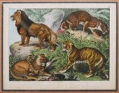 19TH C CATS ENGRAVING VON SCHU
