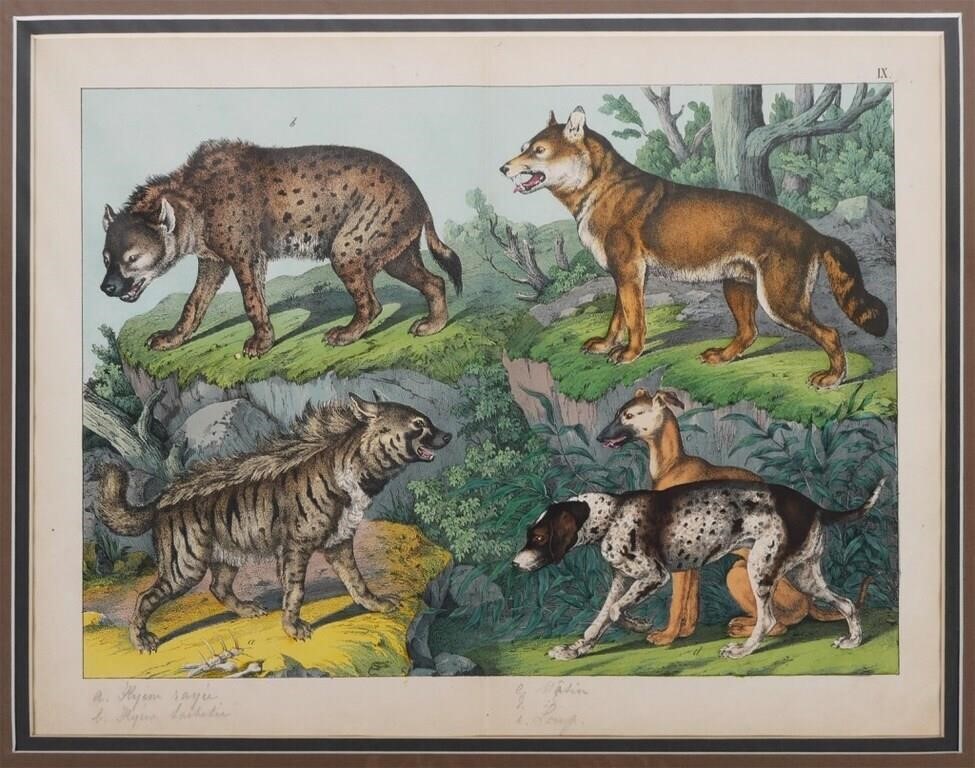 19TH C DOGS ENGRAVING VON