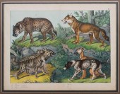 19TH C DOGS ENGRAVING VON SCHU