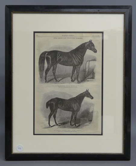 19th c. framed Harpers Weekly horse