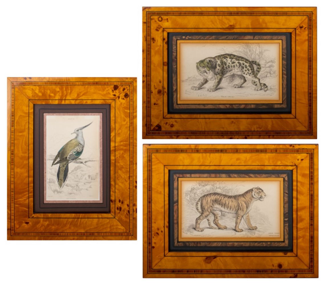 19TH C. HAND COLORED ENGRAVINGS