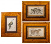 19TH C. HAND COLORED ENGRAVING