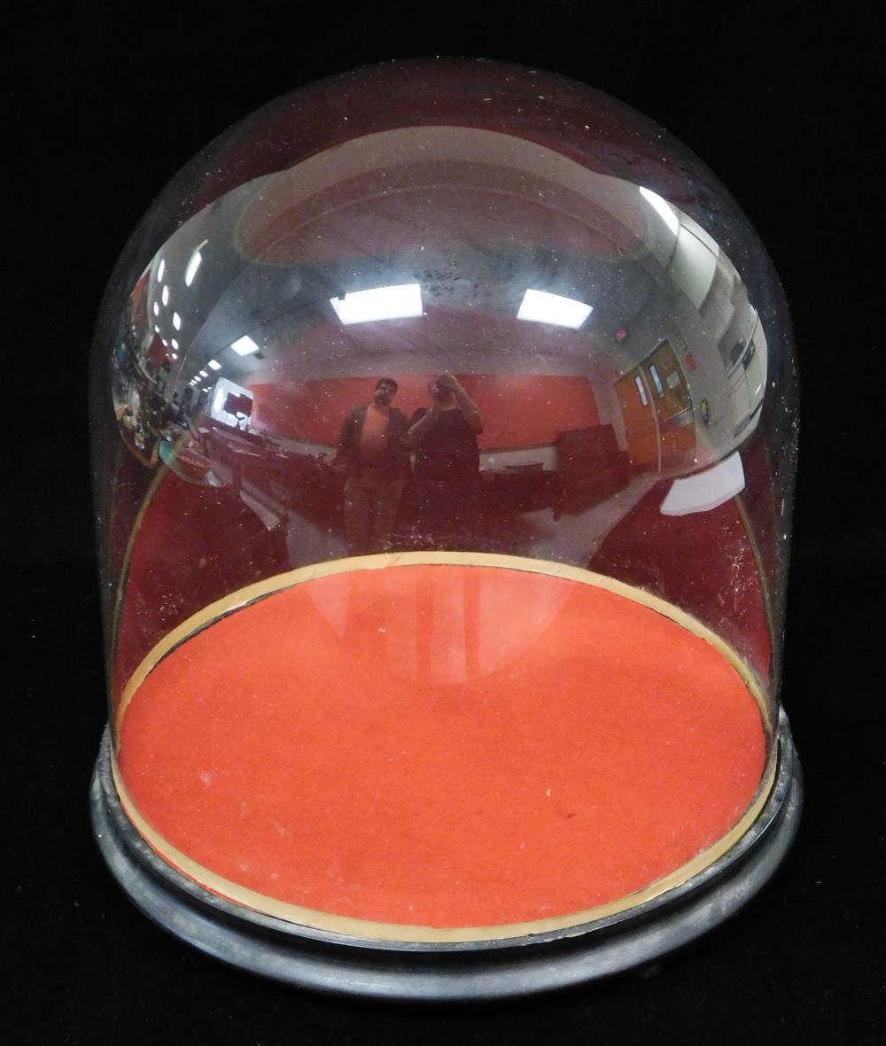 19TH C. ROUND GLASS DISPLAY DOME,
