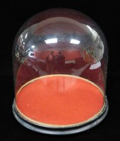 19TH C. ROUND GLASS DISPLAY DO