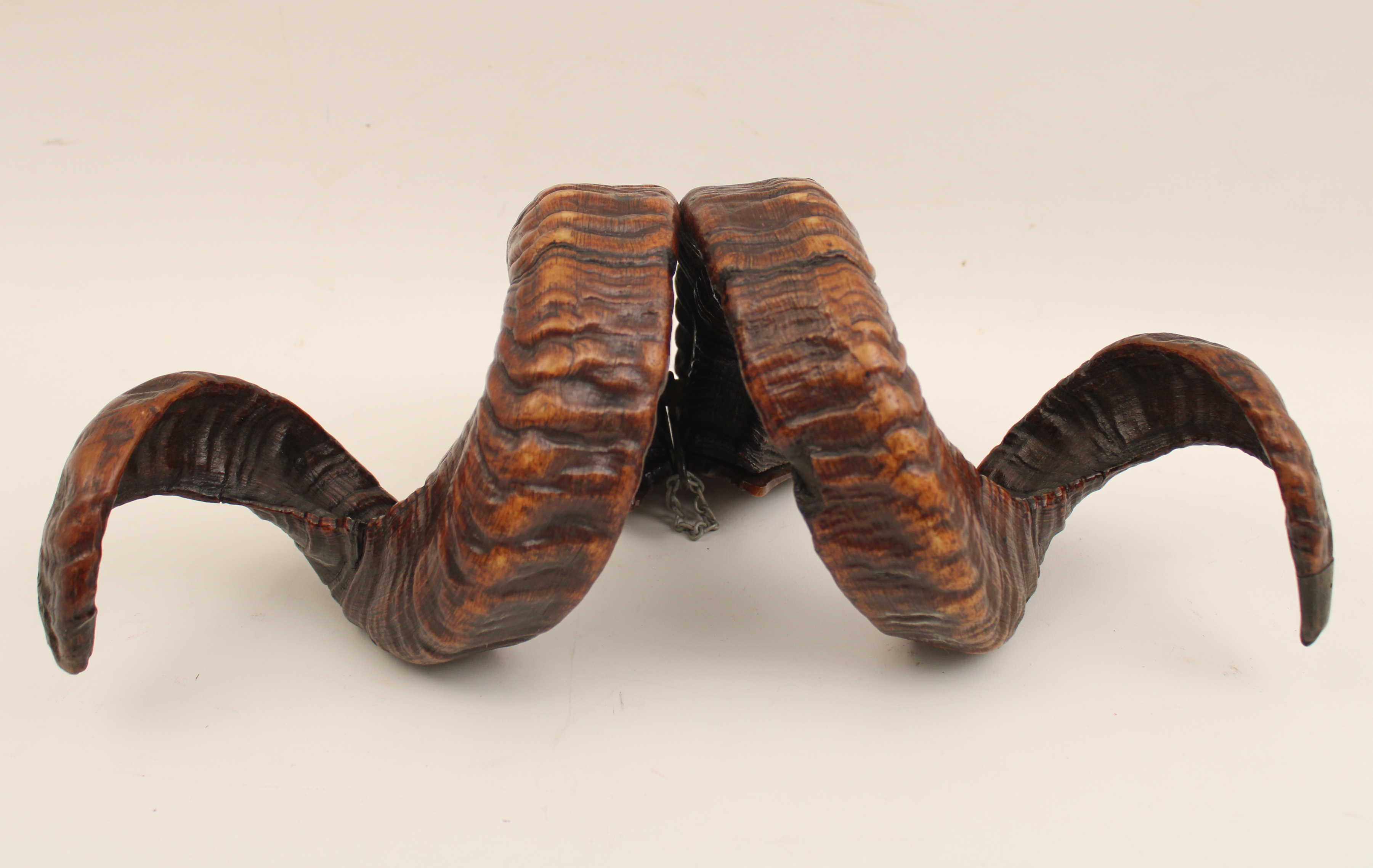 19TH C. SCOTTISH RAMS HORN SNUFF