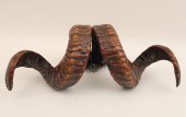 19TH C. SCOTTISH RAMS HORN SNU