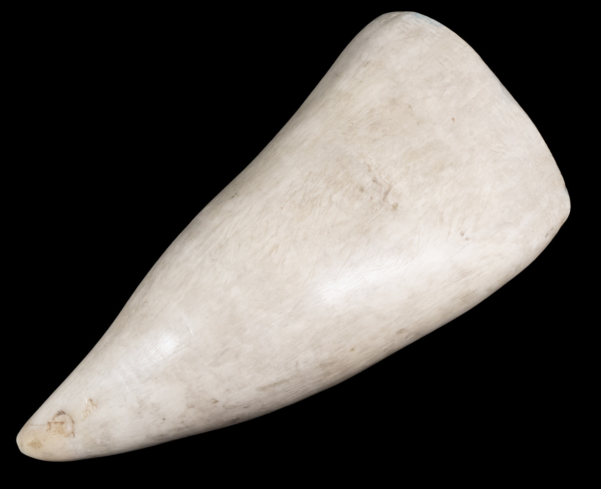 19TH C. WHALE'S TOOTH Right Whale