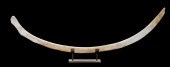 19TH CENTURY 90" WHALE RIB BON