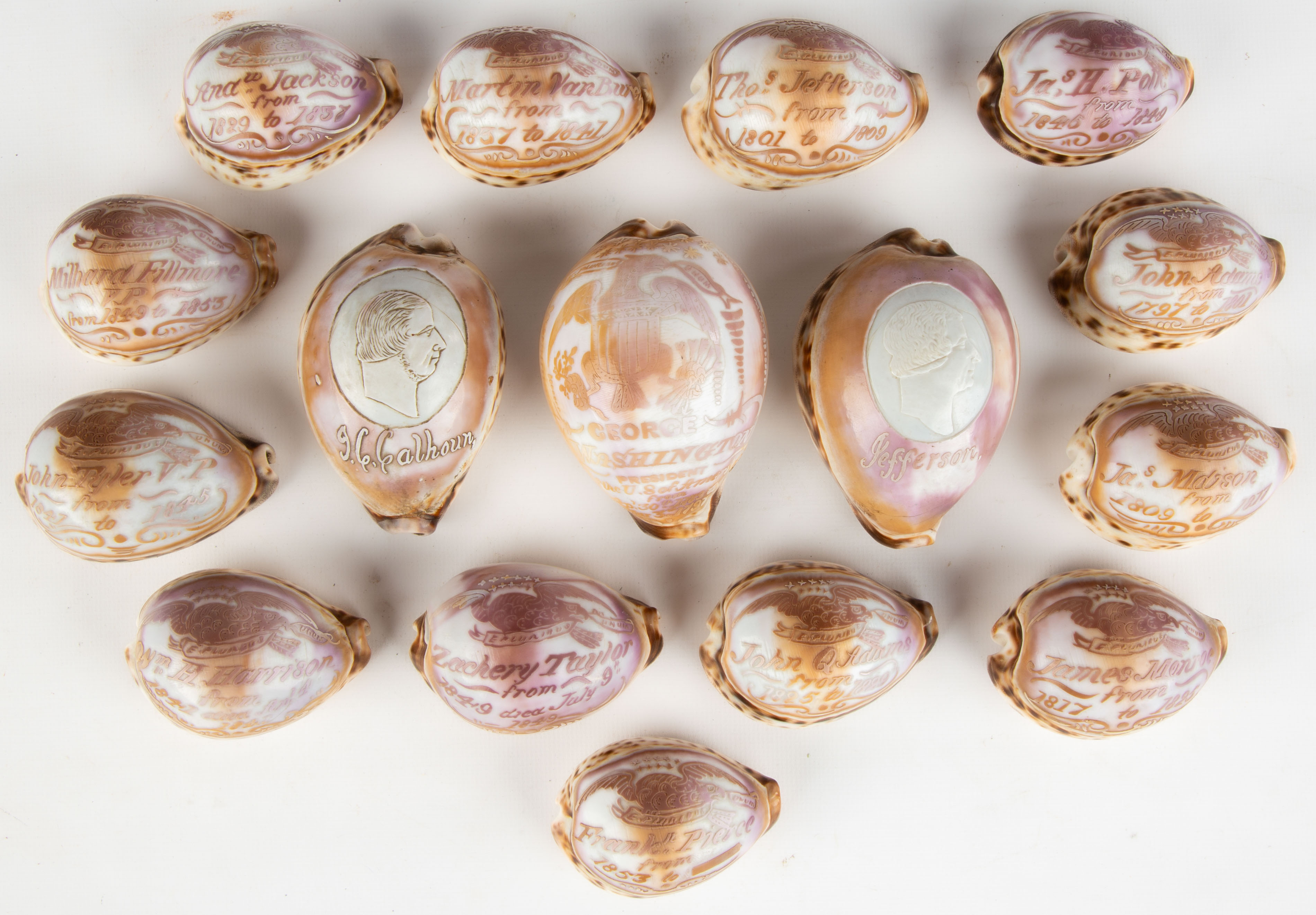 19TH CENTURY CARVED COWRIE SHELLS